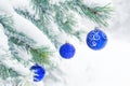 Christmas balls on a pine tree frosty in the snow.