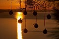 Christmas balls at sunset 1 Royalty Free Stock Photo