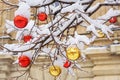 Christmas balls on tree covered with snow. Streets of Moscow decorated for New Year and Christmas celebration. Russia Royalty Free Stock Photo