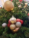 Christmas balls of various colors, both gold and silver and red, hang on the branches of a Christmas tree decorated with. Royalty Free Stock Photo