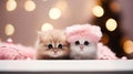 Christmas banner with cute kittens. Group cats above white banner looking at camera. Pink Christmas signboard or gift