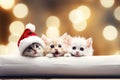 Christmas banner with cute kittens. Group cats with red Santa hats above white banner looking at camera. Christmas