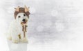 CHRISTMAS BANNER. CUTE MALTESE BICHON DOG WEARING A REINDEER HAT