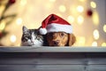 Christmas banner with cute puppy and kitten. Cat and dog with red Santa hat above wooden background looking at camera Royalty Free Stock Photo