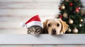 Christmas banner with cute puppy and kittens. Group of dogs and cats with red Santa hats above white banner looking at Royalty Free Stock Photo