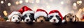 Christmas banner with cute puppy and kittens. Group of dogs and cats with red Santa hats above white banner looking at Royalty Free Stock Photo