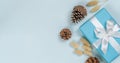 Christmas banner christmas design on blue background of gift boxes and pine cones Royalty Free Stock Photo