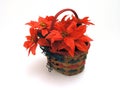Christmas Basket Royalty Free Stock Photo