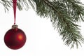 Christmas bauble and fir tree Royalty Free Stock Photo