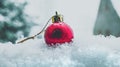 Christmas bauble in the snow, single red bauble