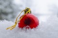 Christmas bauble in the snow, single red bauble