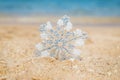 Christmas on the beach. Travels. Selective focus Royalty Free Stock Photo