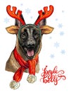 Christmas belgian shepherd malinois vector hand drawn illustration Royalty Free Stock Photo