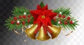 Christmas bells golden with Christmas flowers poinsettia on transparent background. Happy New Year border with garland Christmas Royalty Free Stock Photo