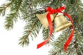 Christmas bells with red bow hanging on fir tree branch against white background Royalty Free Stock Photo