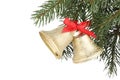 Christmas bells with red bow hanging on fir tree branch against white background Royalty Free Stock Photo