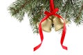 Christmas bells with red bow hanging on fir tree branch against white background Royalty Free Stock Photo