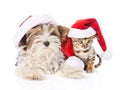 Christmas Bengal cat and Biewer-Yorkshire terrier puppy in red santa hat on white Royalty Free Stock Photo