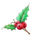 A hand drawn New Year berries on the white background image for print. Icon.