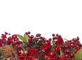 Christmas Berry Border Royalty Free Stock Photo