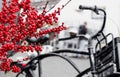 Christmas berry holly or ilex twigs and traditional Netherlands bike with box outside. Amsterdam urban winter street with