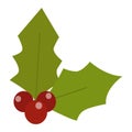 Christmas berry illustration. Royalty Free Stock Photo