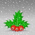 Christmas berry Royalty Free Stock Photo