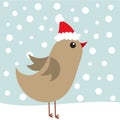 Christmas bird