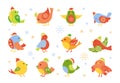 Christmas bird cartoon new year set cute vector Royalty Free Stock Photo