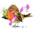 Christmas bird and Christmas background. watercolor illustration Royalty Free Stock Photo