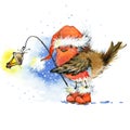 Christmas bird and Christmas background. watercolor illustration Royalty Free Stock Photo