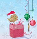 Christmas bird and a gift box