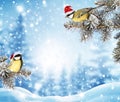 Christmas birds  in red santa hat on fir tree Royalty Free Stock Photo