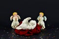 Christmas, birth on an angel from red rose, isolated on black Royalty Free Stock Photo