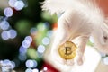 Christmas bitcoin in santa`s hand, gift cryptocurrency, copy space, buying and selling in the stock market Royalty Free Stock Photo