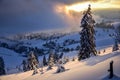 Christmas in Black Forest Winter in Todtnauberg Snow Royalty Free Stock Photo
