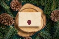 Christmas blank sealed envelope between fir branches and pine cones on green top view