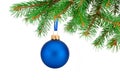 Christmas blue ball hanging on fir tree branch Isolated Royalty Free Stock Photo