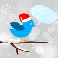 Christmas blue bird with message bubble Royalty Free Stock Photo