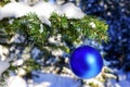 Christmas blue ornament on forest tree branch Royalty Free Stock Photo