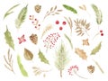 Christmas boho clipart. Watercolor winter floral set Holiday branches, leaves, cones, berries, coniferous branches, leaves Royalty Free Stock Photo