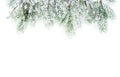 Christmas border composition. Winter evergreen fir branches and silver berries isolated on white background Royalty Free Stock Photo