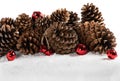 Christmas border design with snow, jingle bells and pinecones.