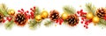 Christmas border with fir branches, cones and berries isolated on white background Royalty Free Stock Photo