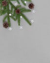 Christmas border with fir branches, cones and silver snowflakes. Vertical orientation. Copy space, top view, flat lay