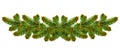 Christmas border, fir branches . garland isolated on white for winter holiday season, greeting cards, banners, calendars