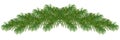 Christmas border, fir branches . garland isolated on white for winter holiday season, greeting cards, banners, calendars