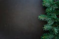 Christmas Border. Fir tree branches on dark wooden background