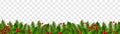 Christmas Border With Fir Tree And Holly Berry Transparent background