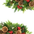 Christmas Border with Gold Pine Cones and Winter Greenery Royalty Free Stock Photo